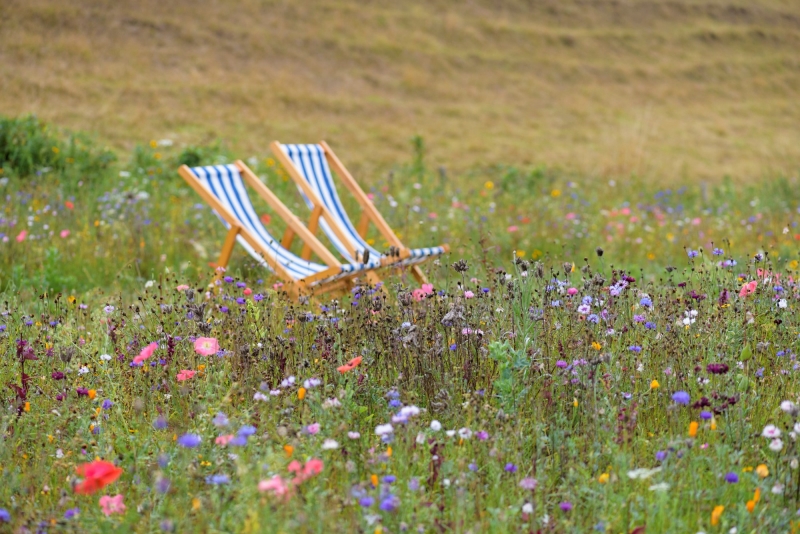 Am Brook Meadow